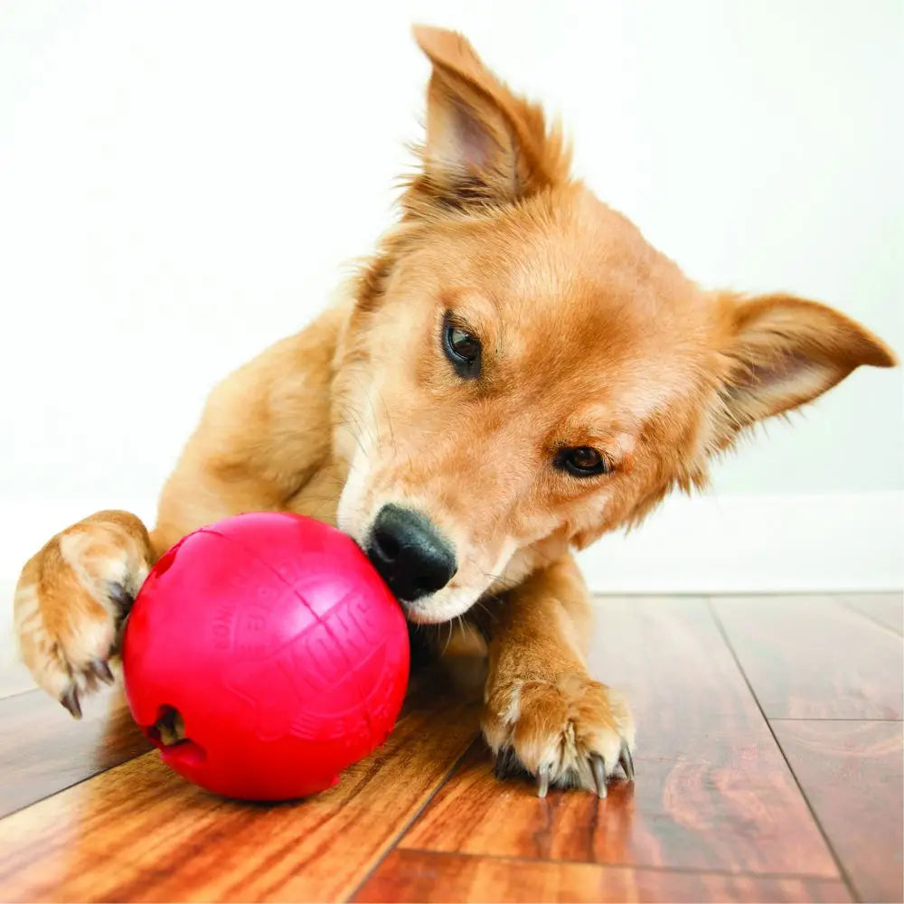 S-Size KONG Classic Biscuit Ball