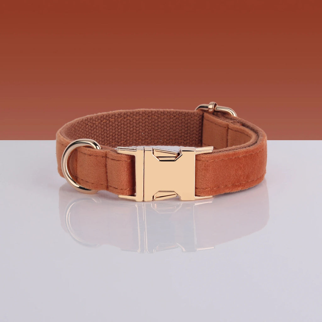 Luxury Velvet Dog Collar With Name