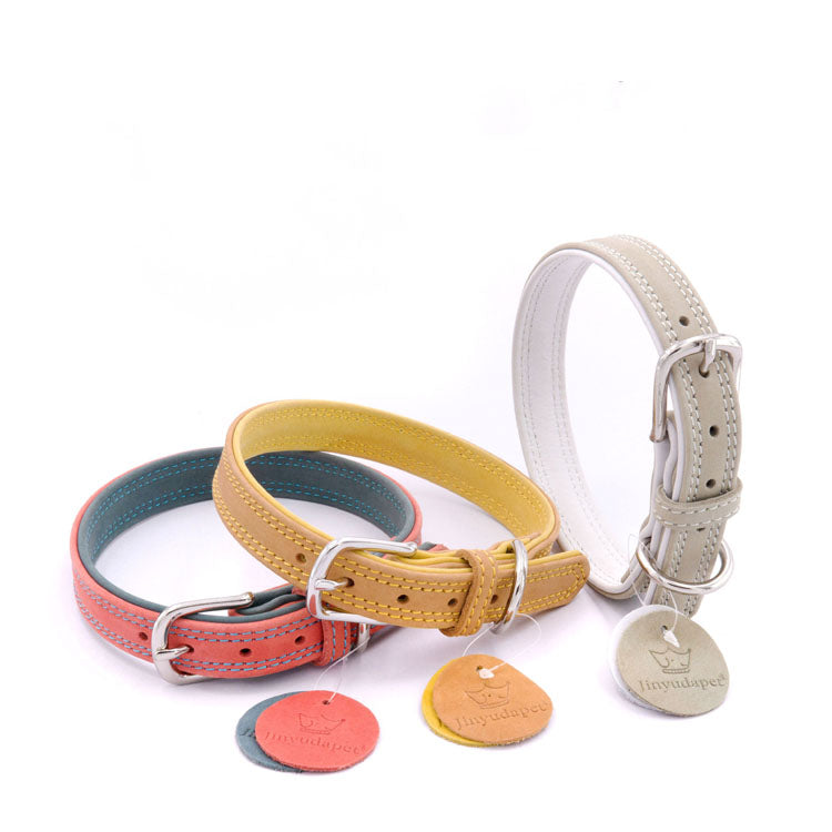 Colorfull Leather Collar