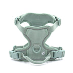 Corduroy Dog Harness Set 5-in-1
