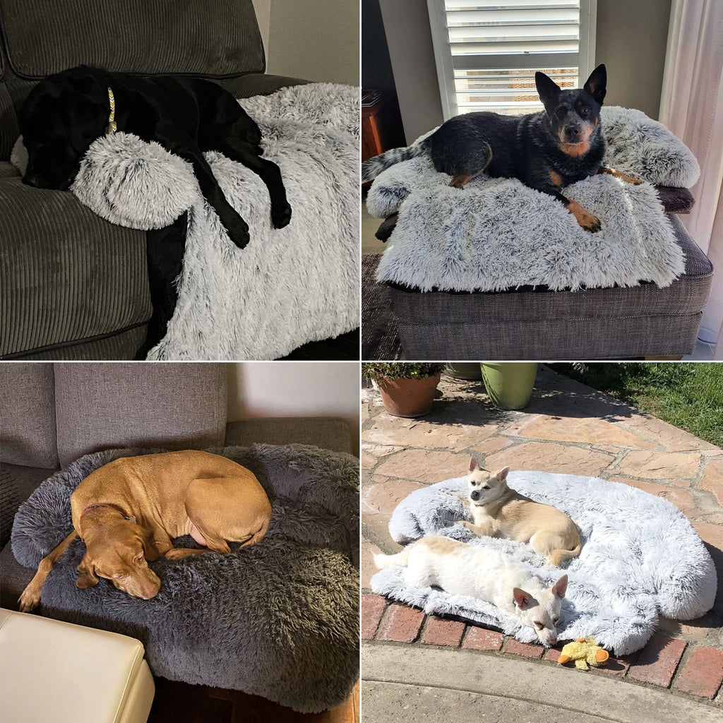 Removable Fluffy Pet Bed