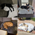 Removable Fluffy Pet Bed