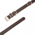 Quality Leather Dog Collar