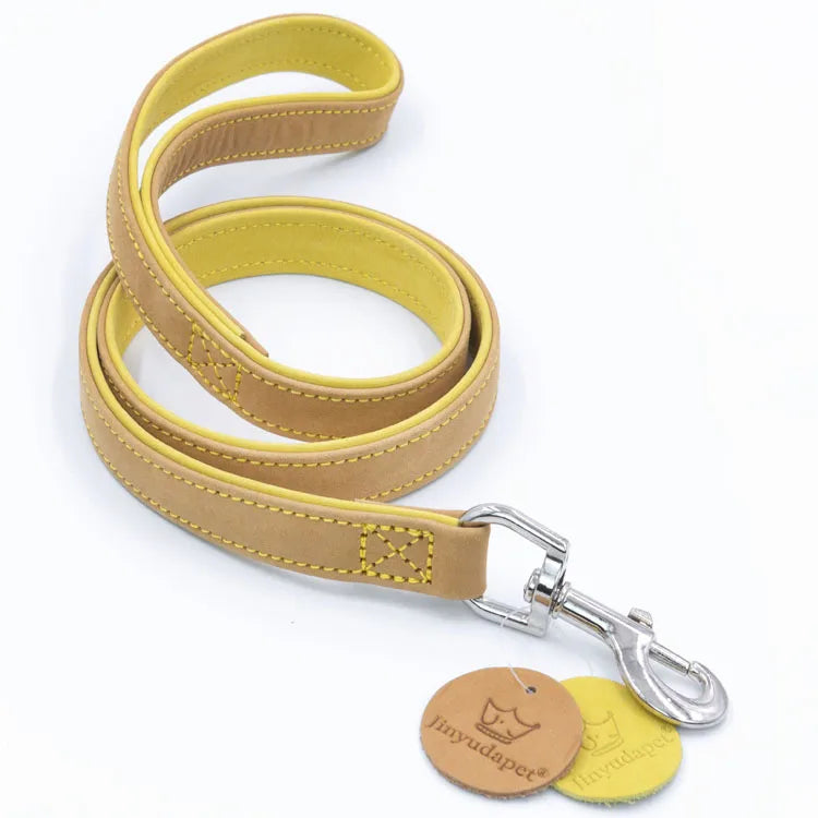 Colorfull Leather Collar