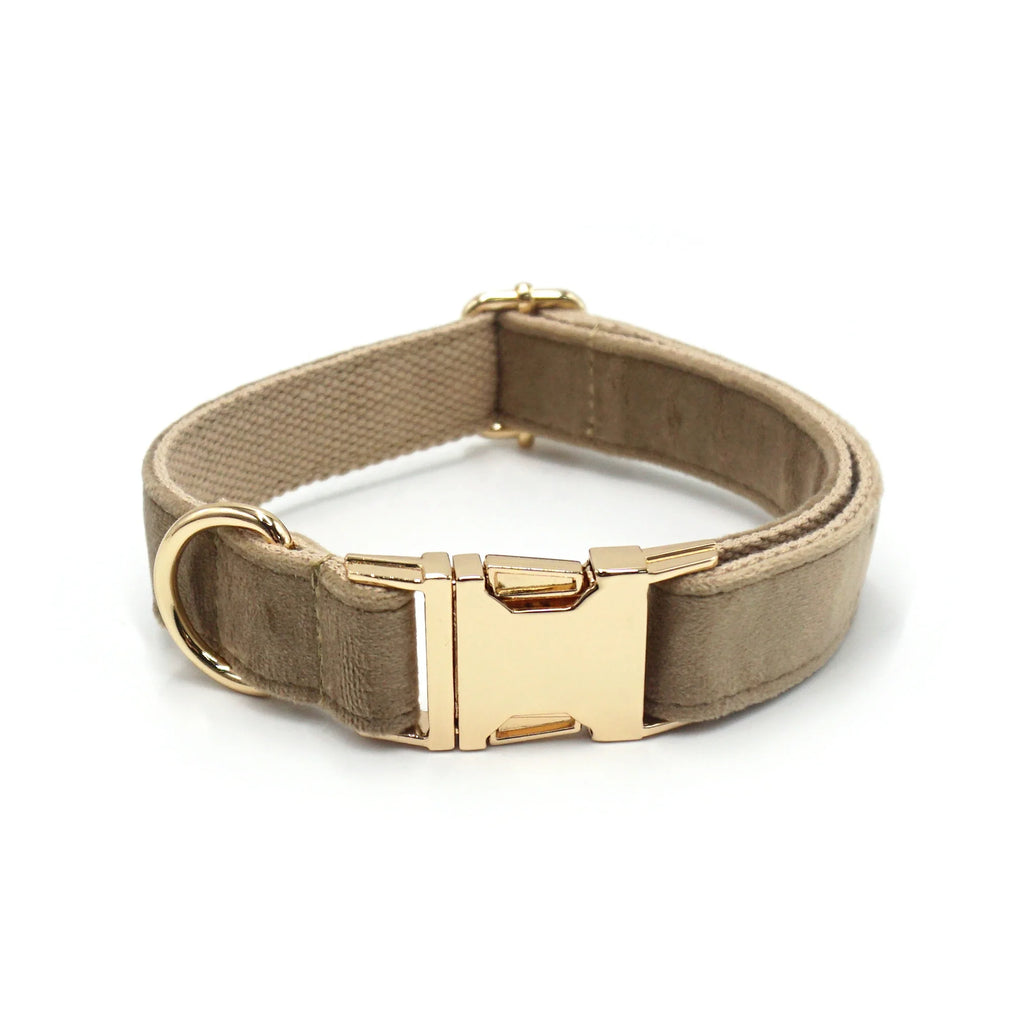 Luxury Velvet Dog Collar With Name