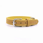 Colorfull Leather Collar