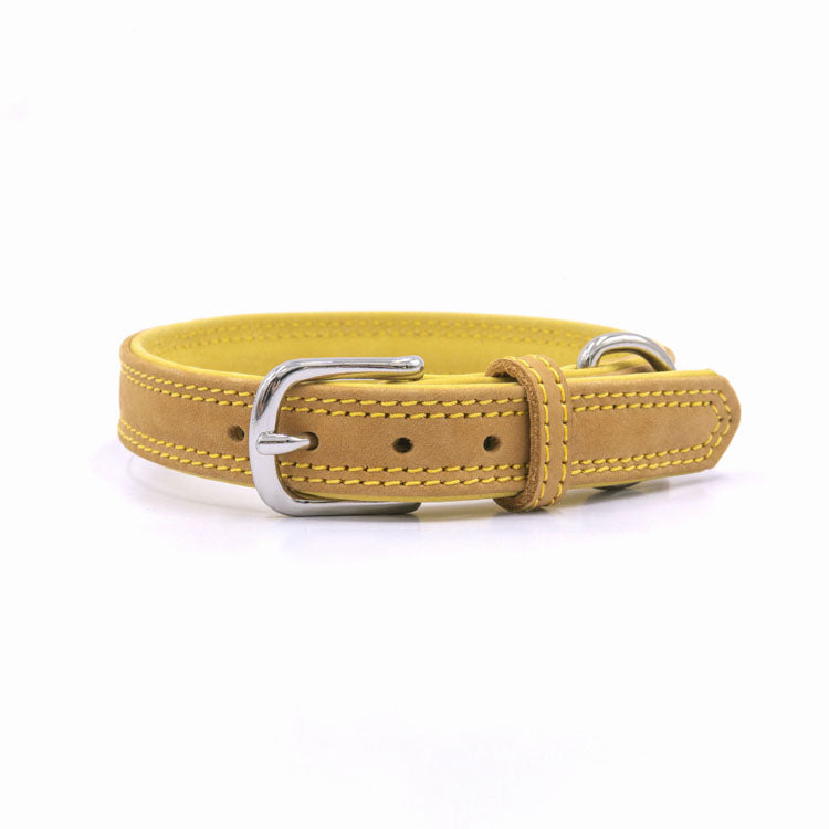 Colorfull Leather Collar