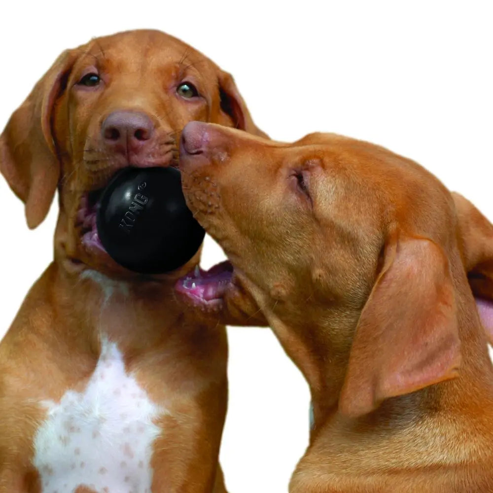 S-Size KONG Extreme Ball Dog Toy