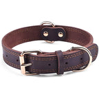 Quality Leather Dog Collar