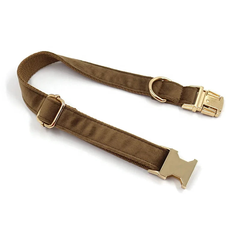 Luxury Velvet Dog Collar With Name