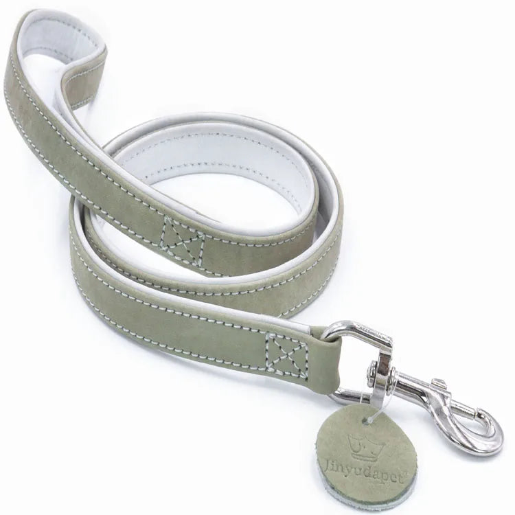 Colorfull Leather Collar
