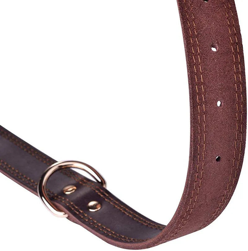 Quality Leather Dog Collar