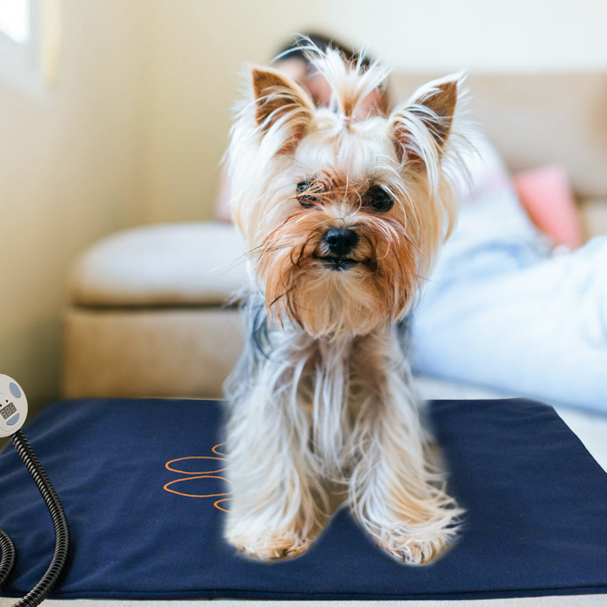 Washable Electric Heating Pad