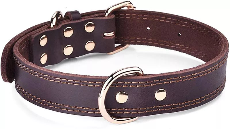 Quality Leather Dog Collar
