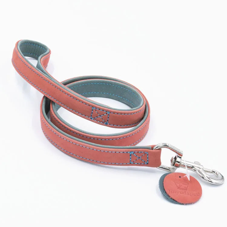 Colorfull Leather Collar