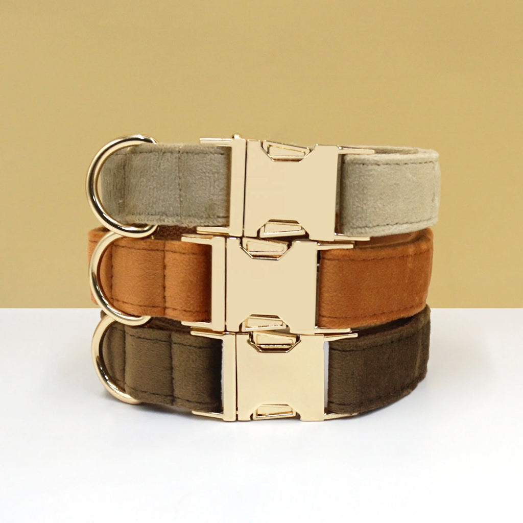Luxury Velvet Dog Collar With Name