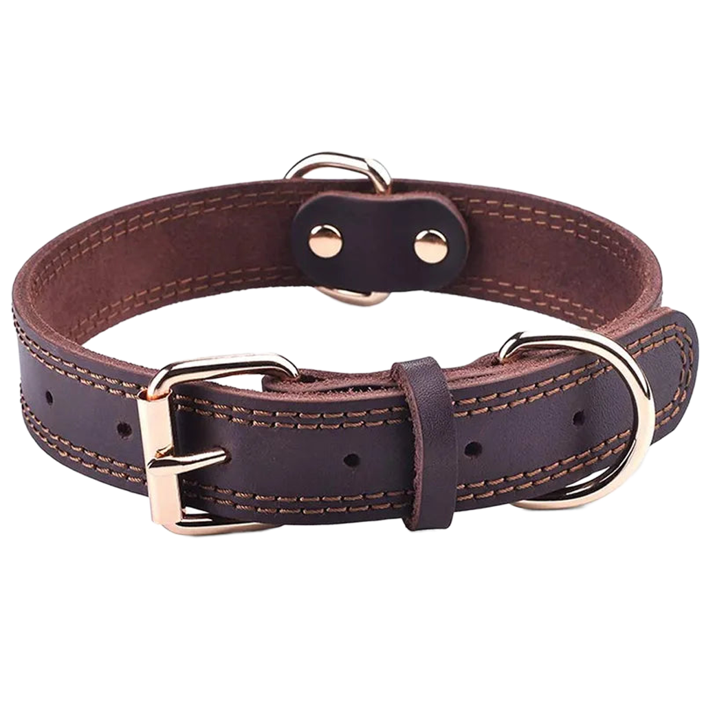 Quality Leather Dog Collar