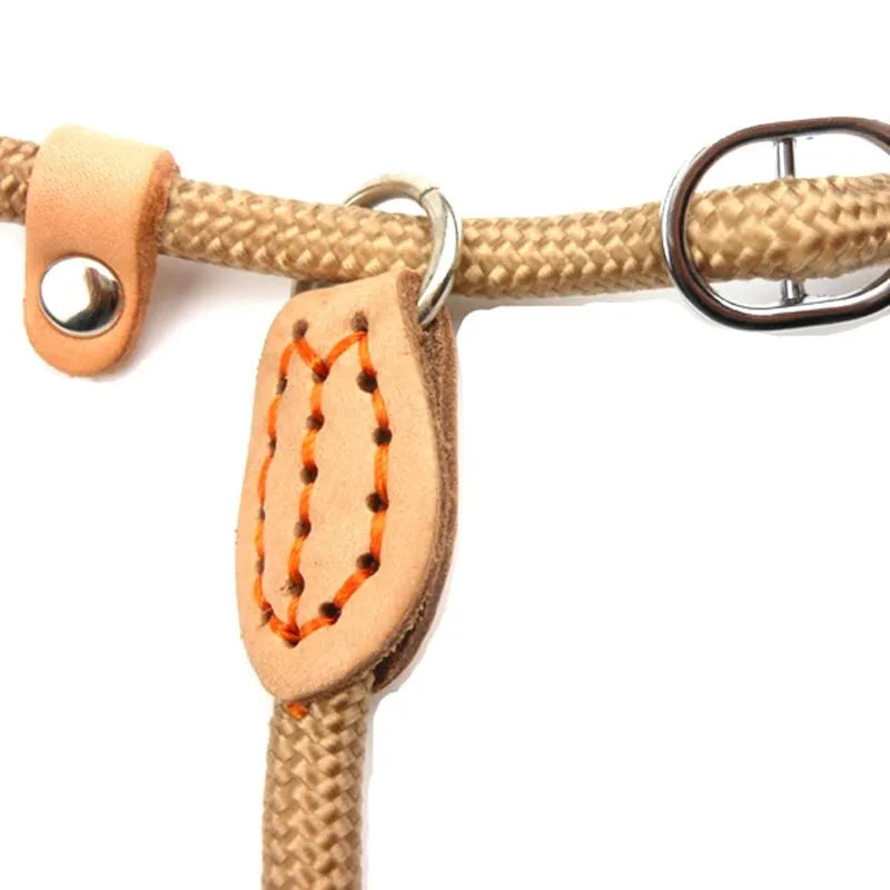 Dog Leash Slip Lead