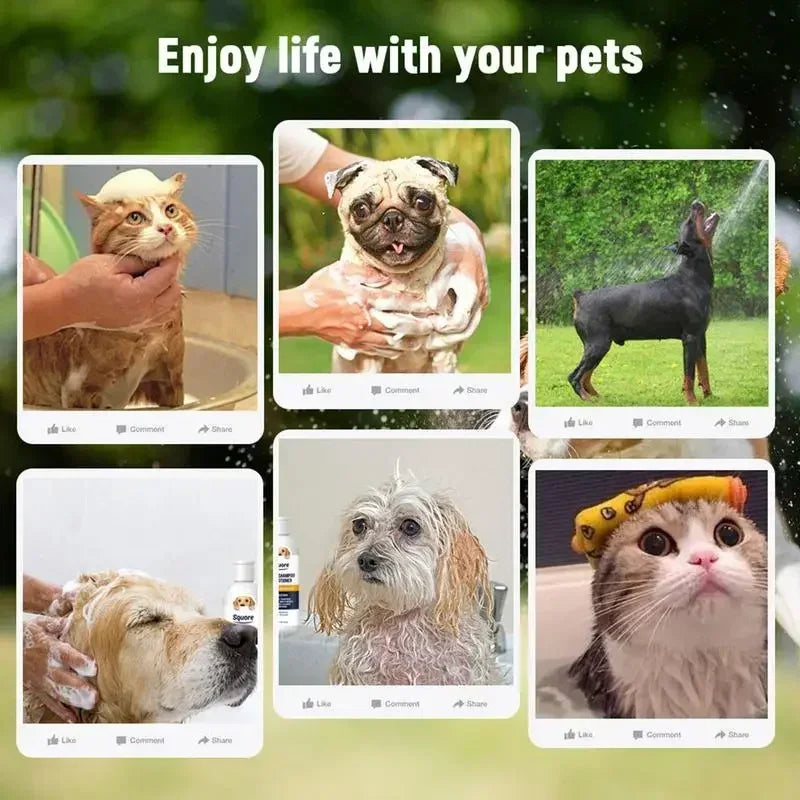 Squore Dog Itchy Shampoo 2 in 1
