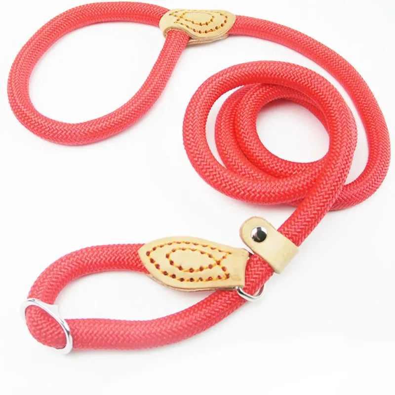 Dog Leash Slip Lead