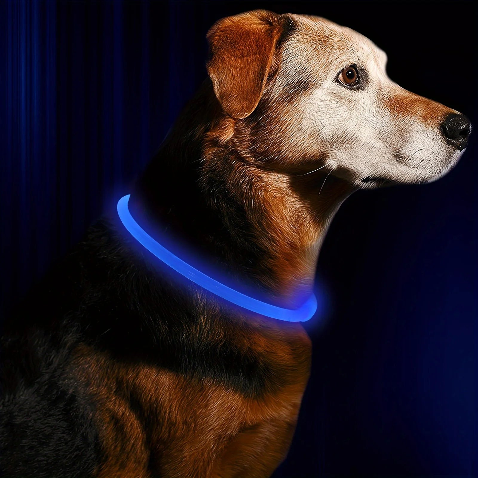 Rechargeable Dog LED Light Collar