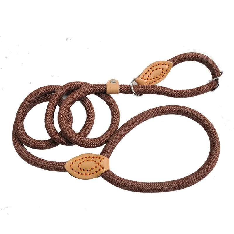 Dog Leash Slip Lead