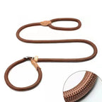 Dog Leash Slip Lead