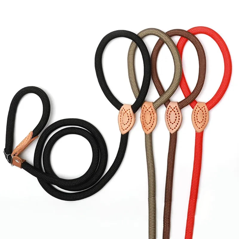 Dog Leash Slip Lead
