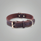 Quality Leather Dog Collar