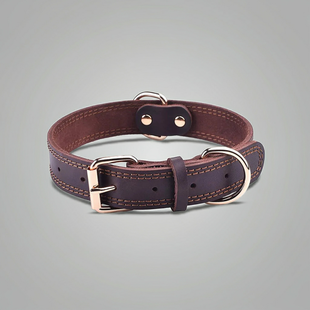 Quality Leather Dog Collar