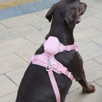 Corduroy Dog Harness Set 5-in-1